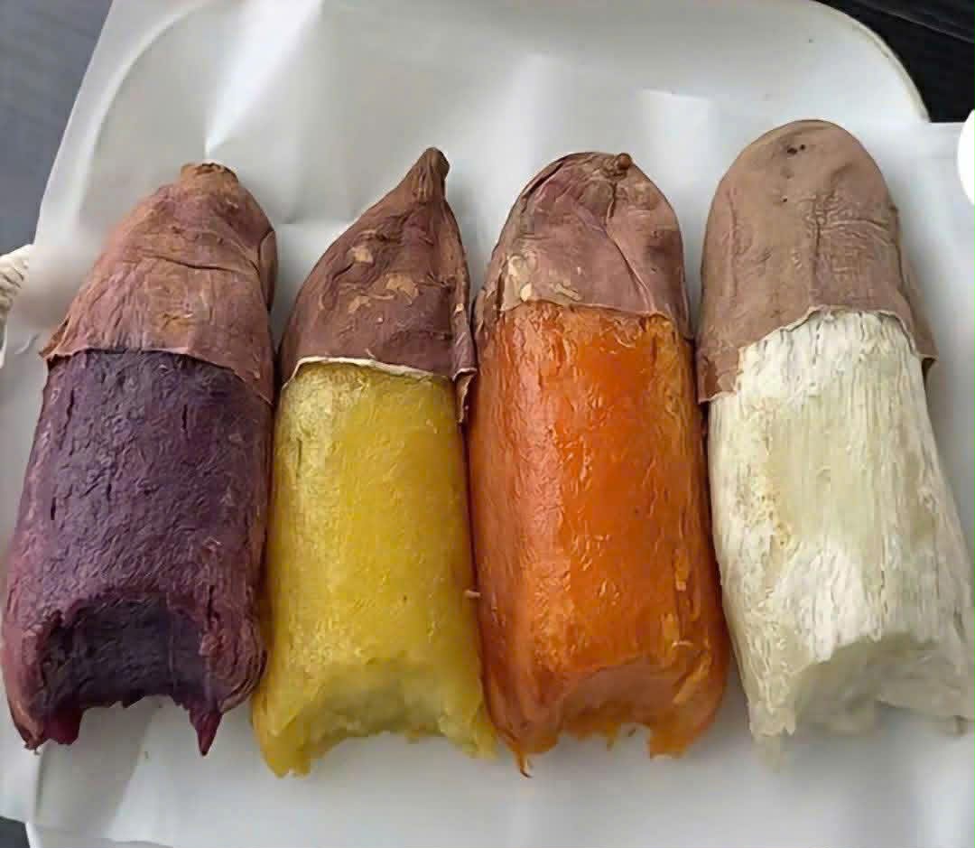 khoai tươi theo mùa ( nhật, cát, mật, vàng, tím )